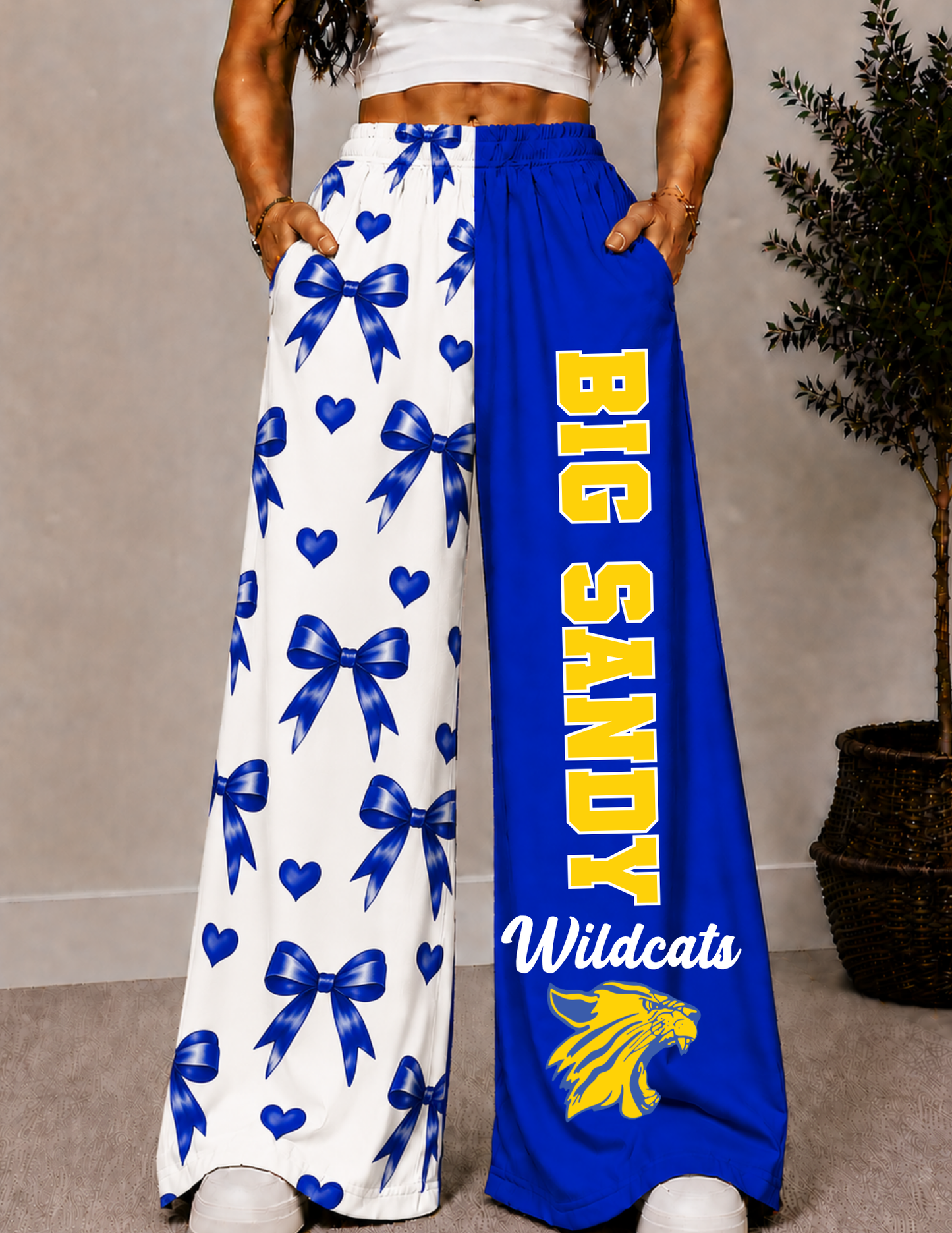 BIG SANDY WIDE LEG PANTS -3B