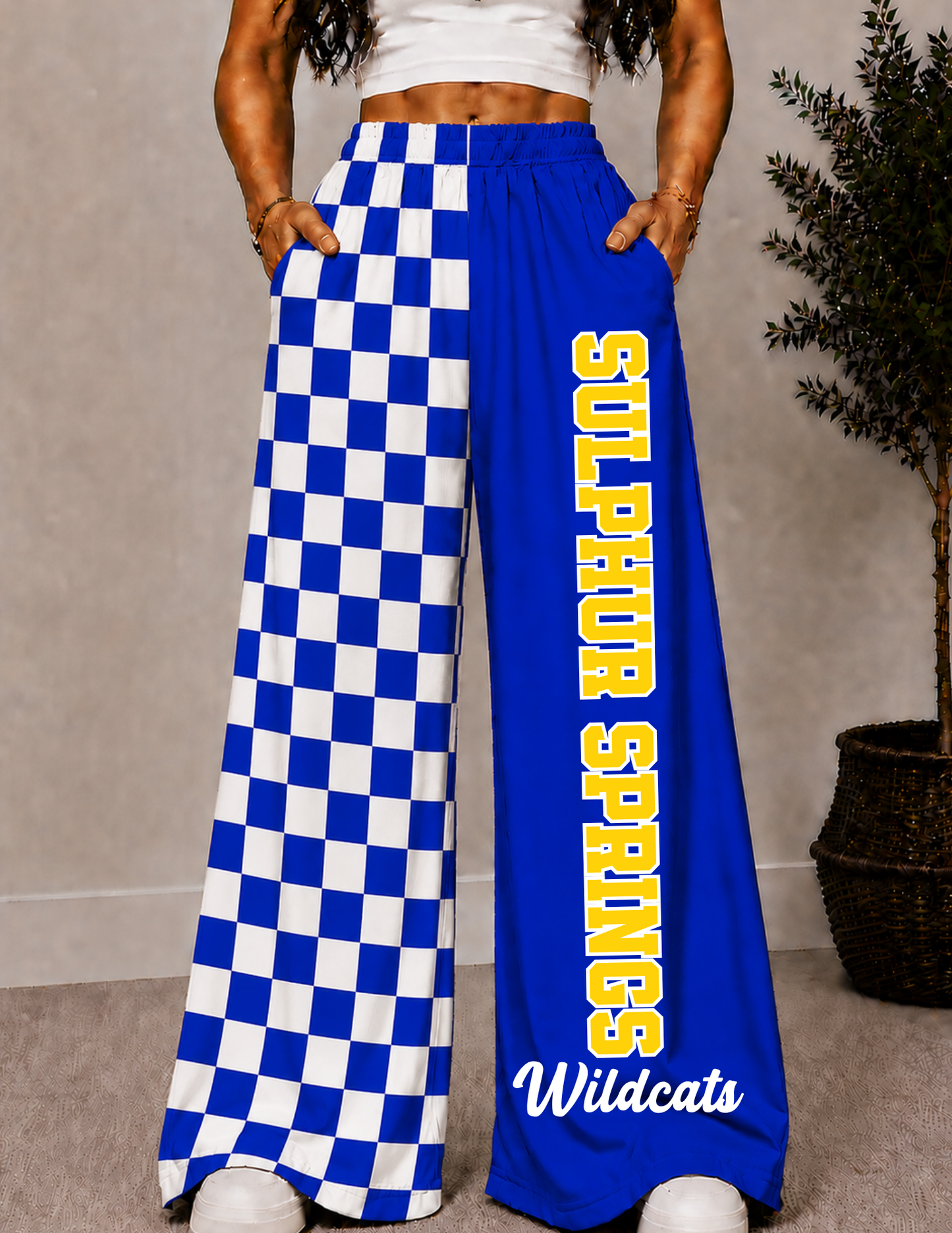 SULPHUR SPRINGS WIDE LEG PANTS -4